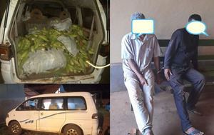 Dos hombres fueron sorprendidos cuando robaban choclo en Vaquería – Prensa 5