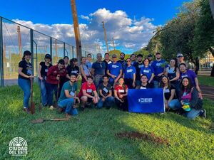 Universitarios realizan arborización en zona céntrica de CDE - La Clave