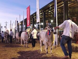 La ganadería será protagonista en la Expo Pioneros del Chaco 2022