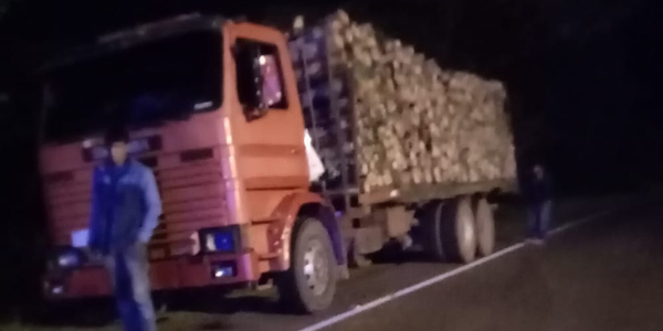 INCAUTAN CAMIÓN CARGADO CON EUCALIPTO SIN GUIA DE TRASLADO