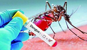 Confirman primer caso de Dengue del año en Itapúa