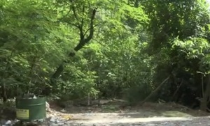 Diario HOY | Ritual, búsqueda de plata yvyguy y una discusión fatal: esclarecen muerte en Paraguarí
