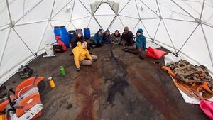 Hallan primer ictiosaurio completo en un glaciar de Chile