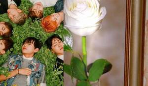 Crónica / [VIDEO] BTS llegó a "La rosa de Guadalupe"