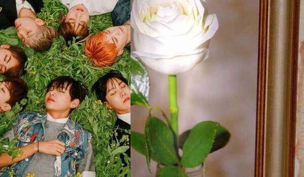 Crónica / [VIDEO] BTS llegó a "La rosa de Guadalupe"
