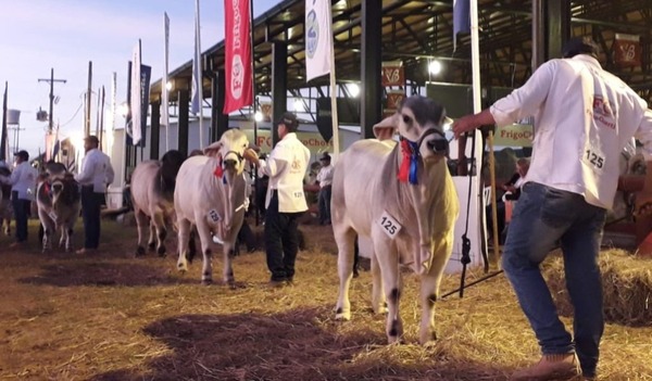 Expo Pioneros se prepara para mostrar todo el desarrollo productivo del Chaco