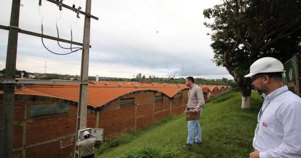 La Nación / Infructuoso allanamiento de mineradoras con supuestas conexiones eléctricas ilegales