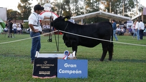 Exitosa Nacional de Otoño Brangus: La raza subastó el 100% de los ejemplares y recaudó más de G. 4.000 millones