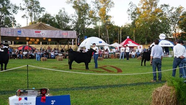 Creció 15% la recaudación en la Expo Nacional Brangus de Otoño - Nacionales - ABC Color