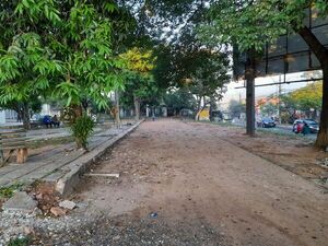 Plaza capitalina está abandona y en manos de la inseguridad, denuncian vecinos - Nacionales - ABC Color