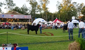 Feria Nacional de Otoño Brangus generó G. 4.000 millones, 15% más que en el 2021