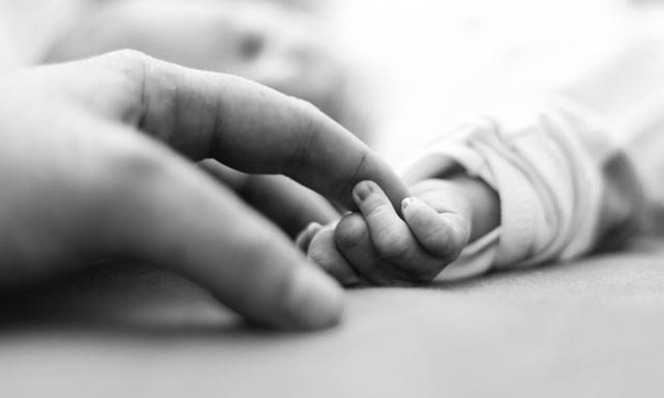 Muere bebé de 4 meses por intoxicación con té de anís - OviedoPress