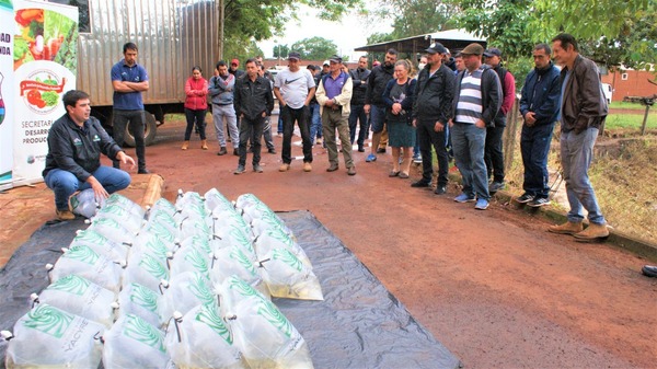 Piscicultores recibieron 5.000 crías de alevines para fortalecer producción de peces en estanque - .::Agencia IP::.