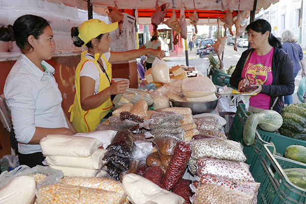 Preparan tradicional feria campesina este jueves y viernes frente al Indert