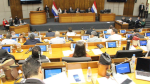 Diputados modifican ley del servicio diplomático - El Independiente