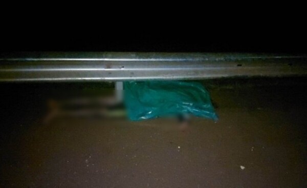 Hombre que caminaba en medio de la ruta murió atropellado