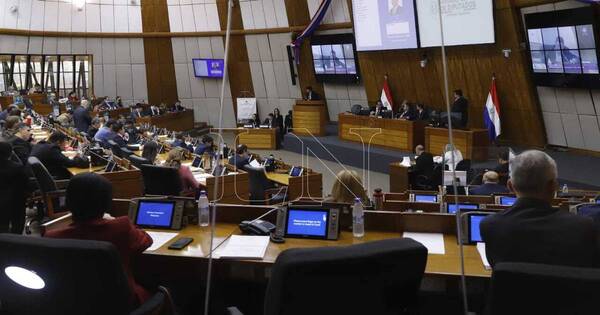 La Nación / Diputados aprueban con modificaciones y remiten al Senado proyecto del servicio diplomático