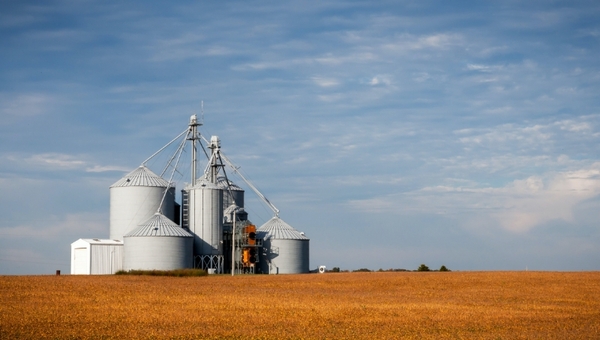 Costo de importaciones de fertilizantes aumentaron más del 100% (conflicto bélico agrava abastecimiento)