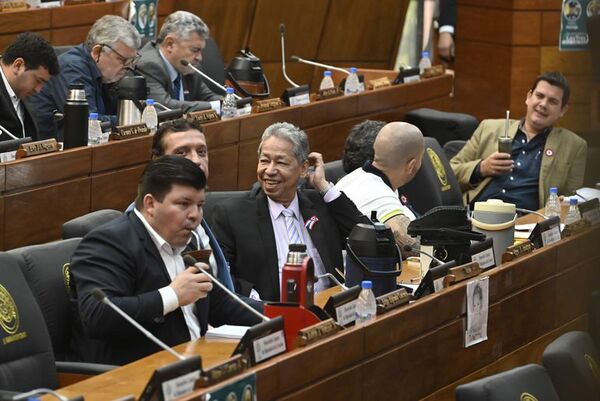 Diputados legaliza a políticos en los cargos consulares - Nacionales - ABC Color