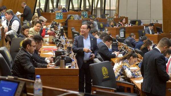 Sancionan solo a 7 diputados por rabonas, con baja multa