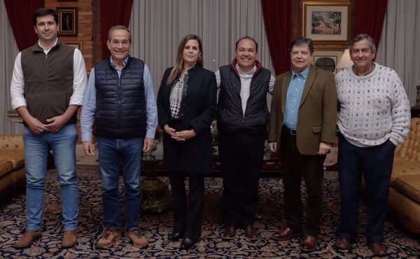 Precandidatos opositores piden formar el TEI de la Concertación - El Trueno