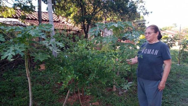 Doña plantó árboles frutales en su vereda para los transeúntes