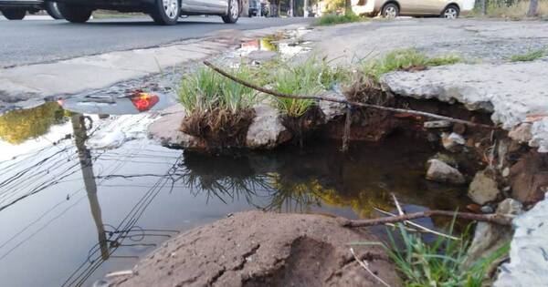 La Nación / Denuncian calles y veredas rotas a metros de la municipalidad de Lambaré