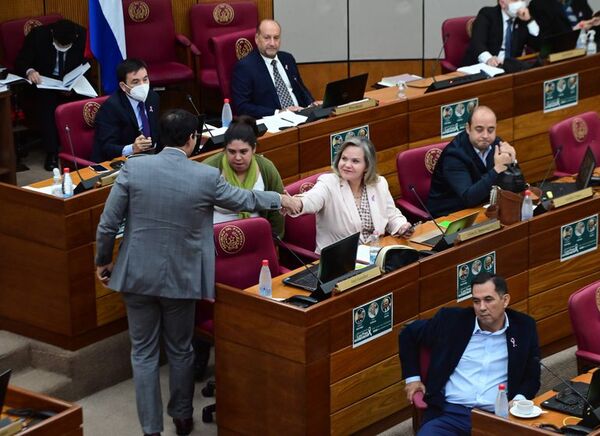 Senado sanciona despenalización del ocultamiento de bienes en las declaraciones juradas - Nacionales - ABC Color