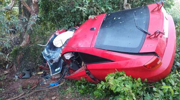 Crónica / Un policía se salió de la ruta y se fue de punta por un árbol