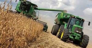 La Nación / USDA estima caída mundial de la soja del 5%, Paraguay y Brasil serán los más afectados
