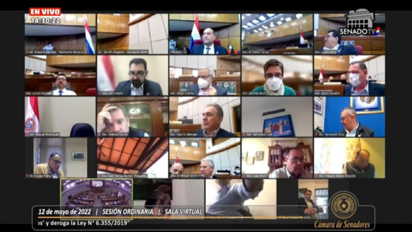 Senado despenaliza declaraciones juradas falsas - El Independiente