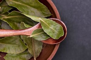 El laurel más allá de darle sabor a las comidas