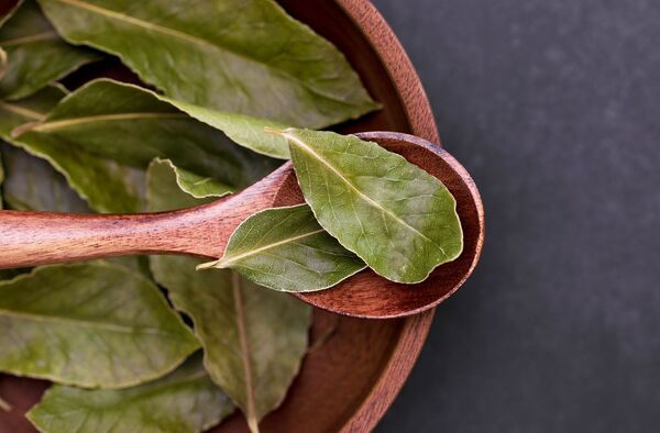 El laurel más allá de darle sabor a las comidas