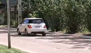 Mujer abandona a un perro y piden ayuda para identificarla - Nacionales - ABC Color