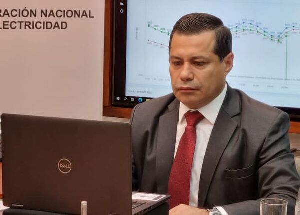 ANDE licitará por US$ 300 millones - Nacionales - ABC Color