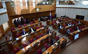 Senado niega recortes y critica  a Quiñónez - Nacionales - ABC Color