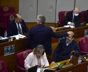 Senado despenaliza el ocultamiento de bienes en las declaraciones juradas - Nacionales - ABC Color