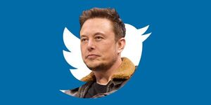 Elon Musk suspende por ahora la compra de Twitter y la acciones se hunden