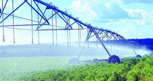 La Nación / Destacan el intercambio comercial ascendente entre Israel y Paraguay