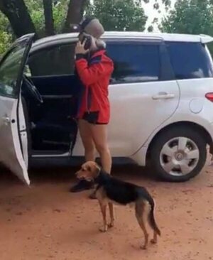 Buscada por abandonar a su perro alega que no tenía dinero para su tratamiento - Mascotas - ABC Color