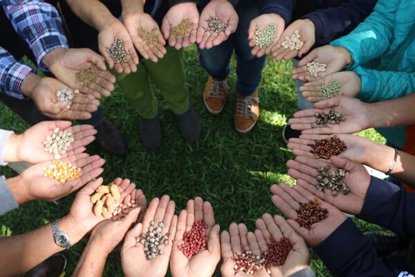 TEKOVE MBARETÉ: un proyecto agroecológico