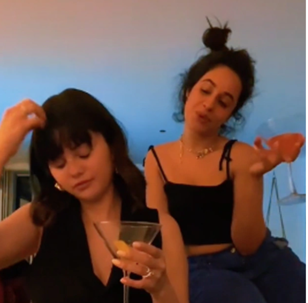 Selena Gómez, el gran apoyo de Camila Cabello y su salud mental - SNT