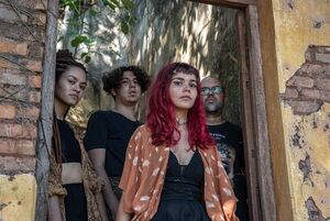 Passiflorx: “Somos artistas independientes y no queremos de ninguna manera fingir algo” - Música - ABC Color