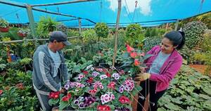 La Nación / Día de la Madre: ¿Y si la invitás a vivir un tour de plantas por Cabañas?