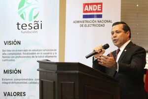 Proyecto de ley para sistema eléctrico del Chaco Central no ofrece reglas claras, según ANDE - Nacionales - ABC Color