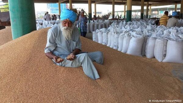 La India prohíbe la exportación de trigo por el alza global de precios