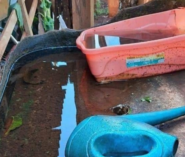 Alertan sobre el aumento de casos de dengue y chikungunya en el país - Megacadena — Últimas Noticias de Paraguay