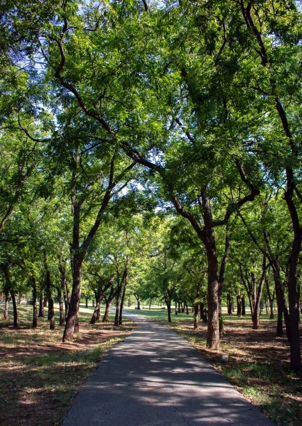 Biodiverciudades, una nueva tendencia en Latinoamérica - Económico - ABC Color