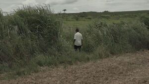 Documental sobre masacre de Curuguaty se exhibirá en Madrid