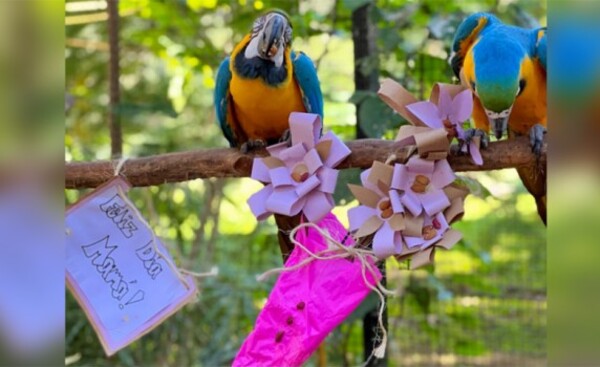 Animales del Centro Ambiental también festejaron el Día de la Madre